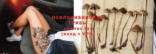 стаф Алексеевка