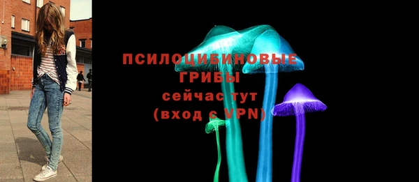 круглые Алзамай