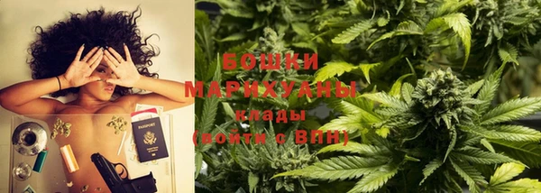 индика Пересвет