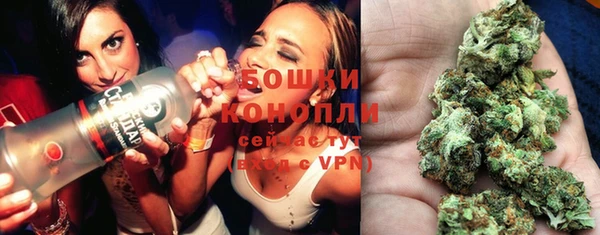 круглые Алзамай