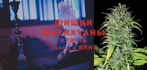 индика Пересвет