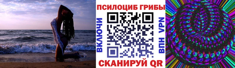 Псилоцибиновые грибы Cubensis Нарьян-Мар