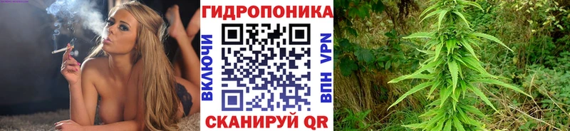 где продают наркотики  Нарьян-Мар  Шишки марихуана гибрид 